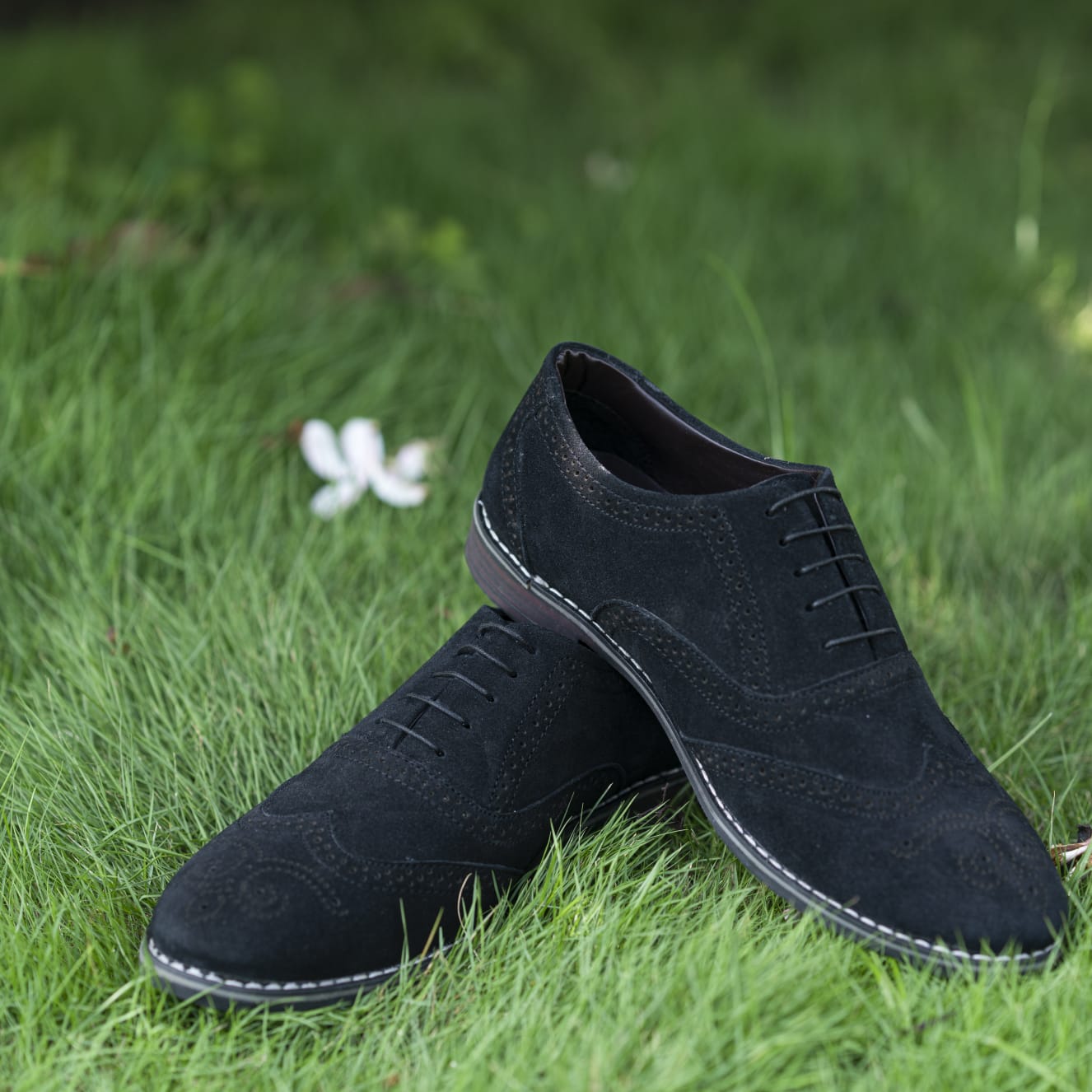 Luxomish Savy Black Formal Shoes